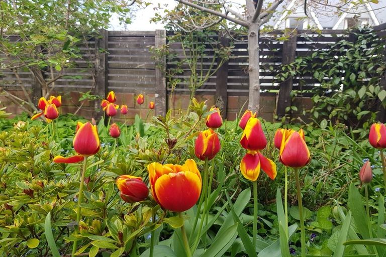 Photo of property in 2/5 Chokebore Place, Sockburn, Christchurch, 8042