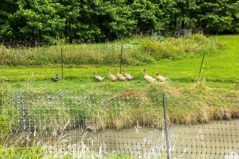 Photo of property in 91 Katherine Mansfield Drive, Whitemans Valley, Upper Hutt, 5371