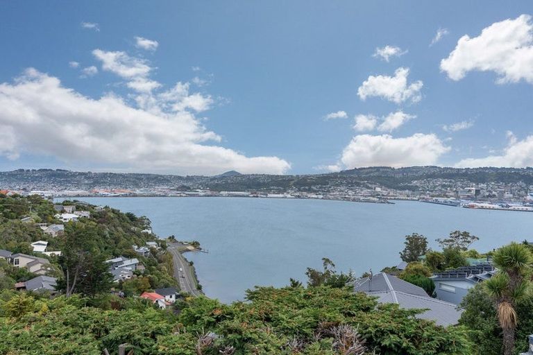 Photo of property in 40 Shandon Road, Vauxhall, Dunedin, 9013