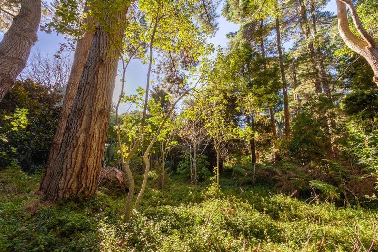 Photo of property in 60 Leinster Avenue, Raumati South, Paraparaumu, 5032