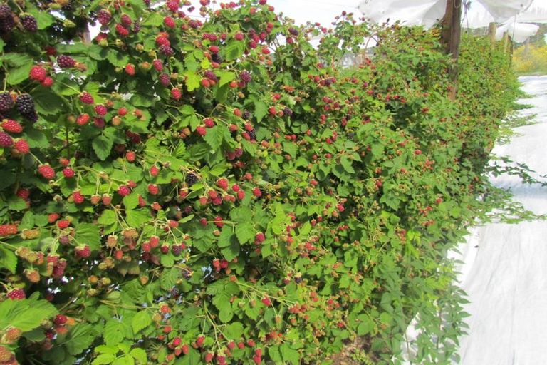 Photo of property in 71c Keri Downs Road, Kerikeri, 0294