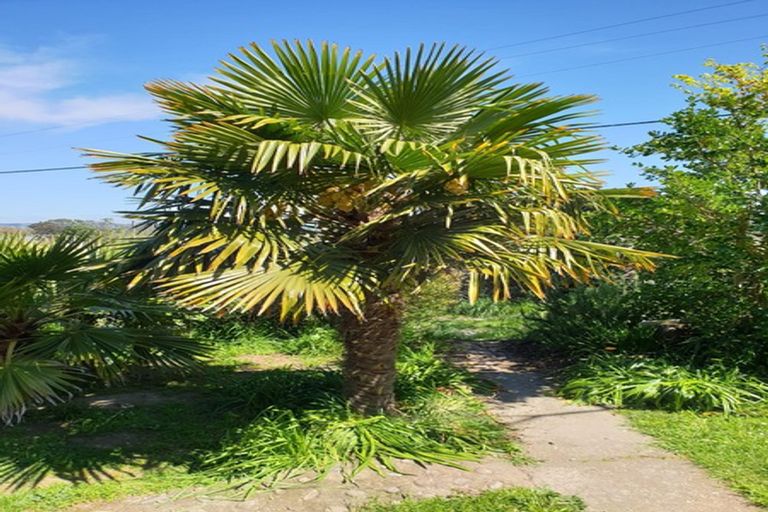 Photo of property in 128 Barnett Avenue, Best Island, Richmond, 7081