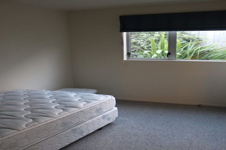 Photo of property in 11 Douglas Street, Mount Cook, Wellington, 6021