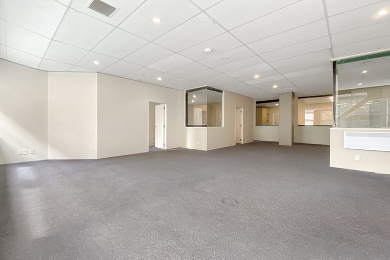 Photo of property in 115 Vivian Street, Te Aro, Wellington, 6011