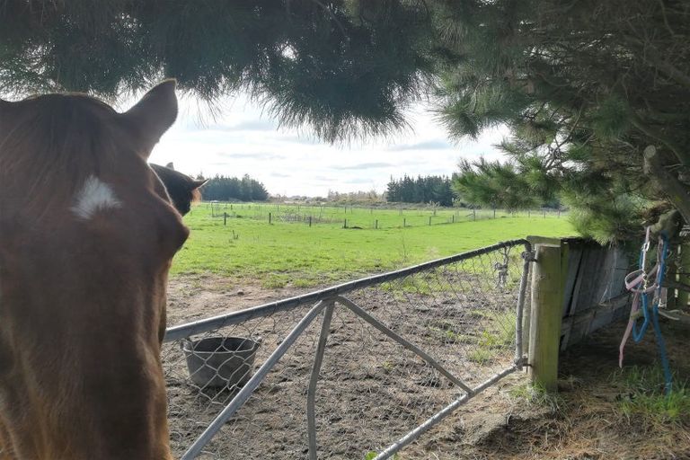 Photo of property in 65 Acton Road, Rakaia, 7781