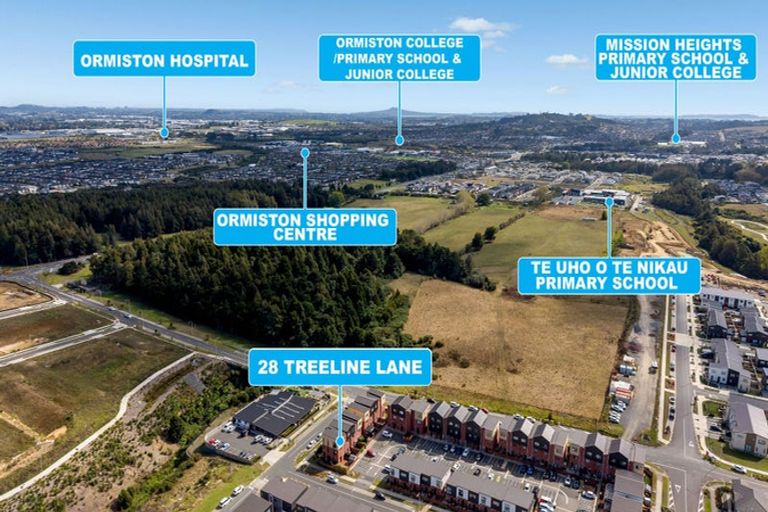 Photo of property in 28 Treeline Lane, Flat Bush, Auckland, 2019