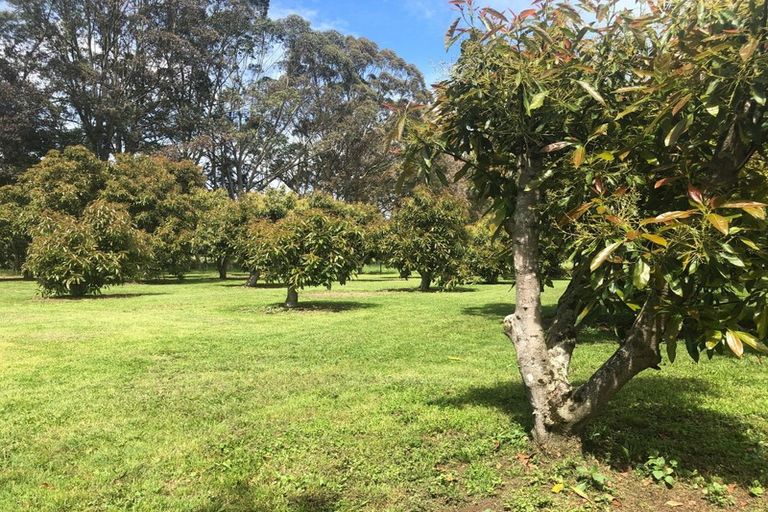 Photo of property in 24 Revelry Lane, Poroti, Whangarei, 0179