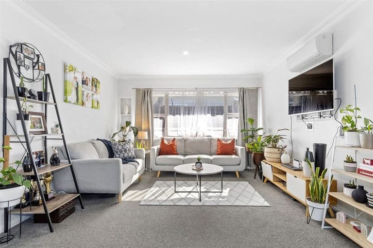 Photo of property in 1134b Cameron Road, Gate Pa, Tauranga, 3112