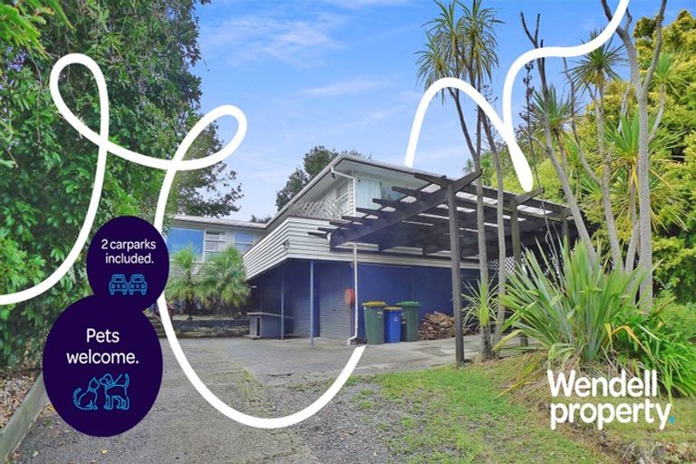 Photo of property in 53 Waitaki Street, Henderson, Auckland, 0612