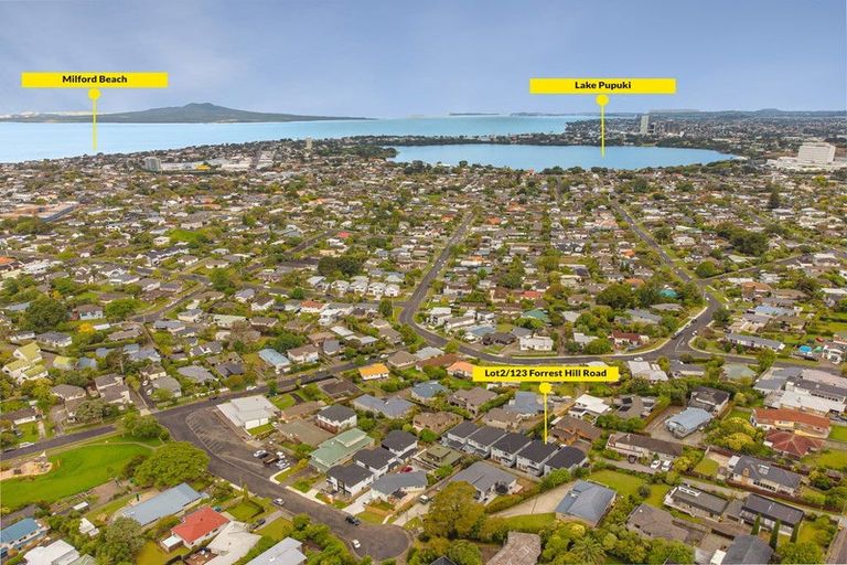 Photo of property in 123c Forrest Hill Road, Forrest Hill, Auckland, 0620