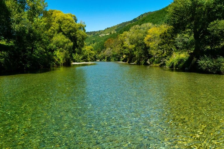 Photo of property in 90 Tapps Road, Canvastown, Havelock, 7178