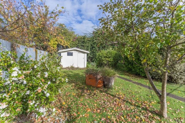 Photo of property in 21 Carlisle Street, Levin, 5510