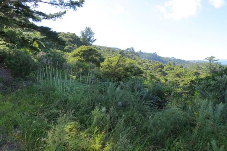 Photo of property in 1090 Driving Creek Road, Coromandel, 3583