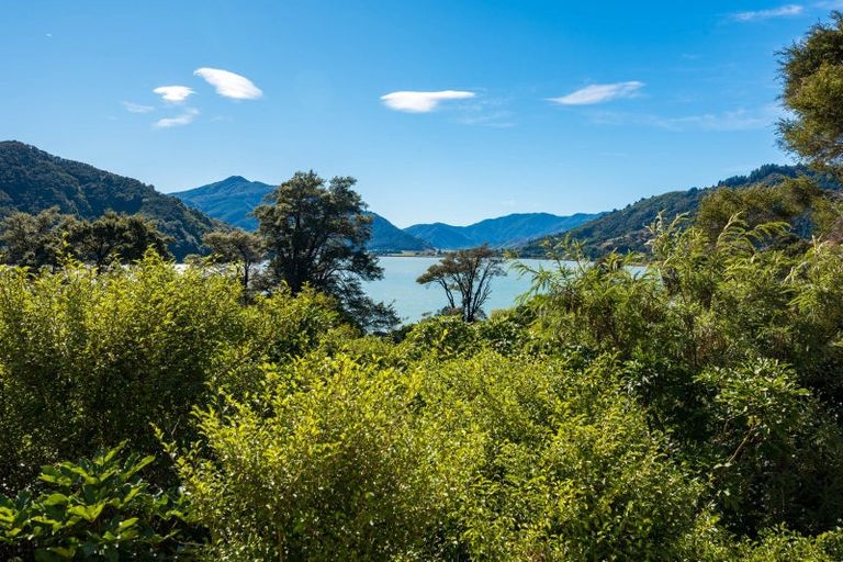 Photo of property in 780 Queen Charlotte Drive, Havelock, Picton, 7281