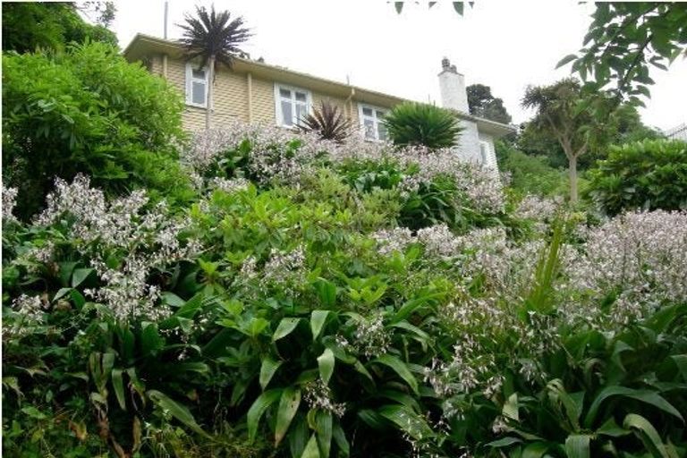 Photo of property in 53 Raroa Road, Kelburn, Wellington, 6012