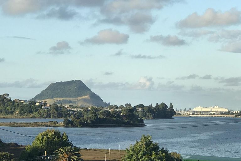 Photo of property in 39b Churchill Road, Judea, Tauranga, 3110