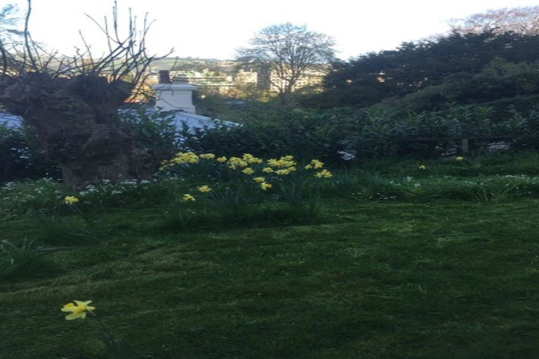 Photo of property in 92 Queen Street, North Dunedin, Dunedin, 9016