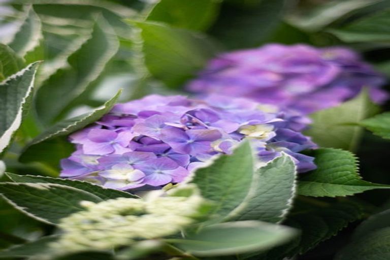 Photo of property in 76 Sunderland Street, Clyde, 9330