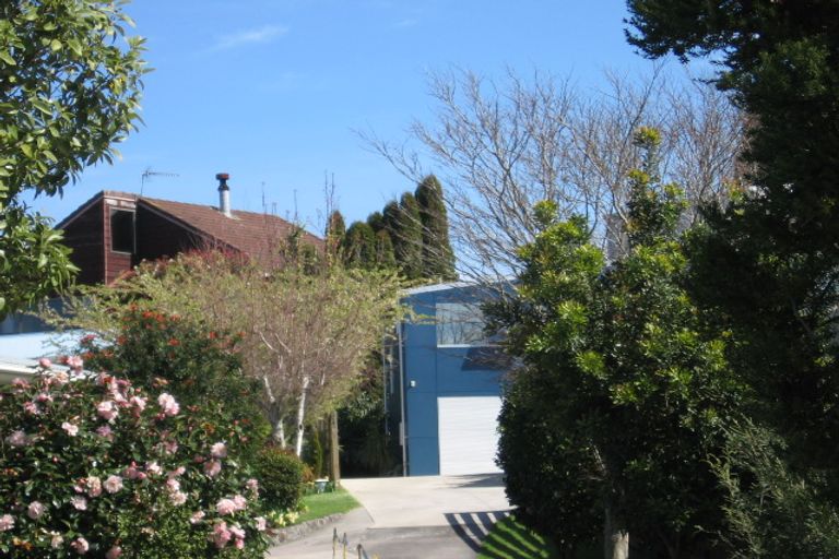 Photo of property in 24a Matua Road, Matua, Tauranga, 3110