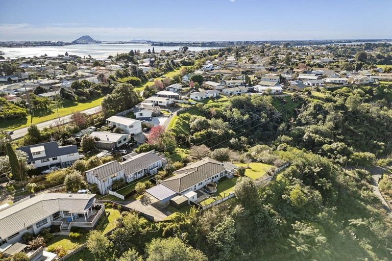 Photo of property in 80 Hammond Street, Hairini, Tauranga, 3112