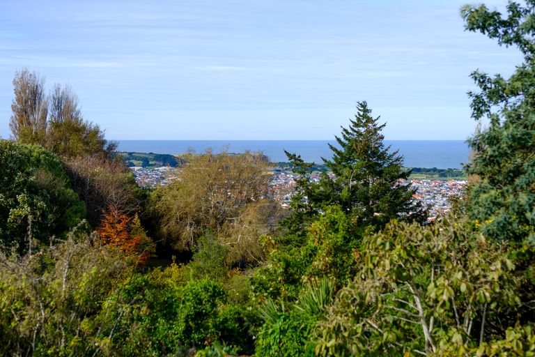 Photo of property in 67 Oakwood Avenue, Maryhill, Dunedin, 9011