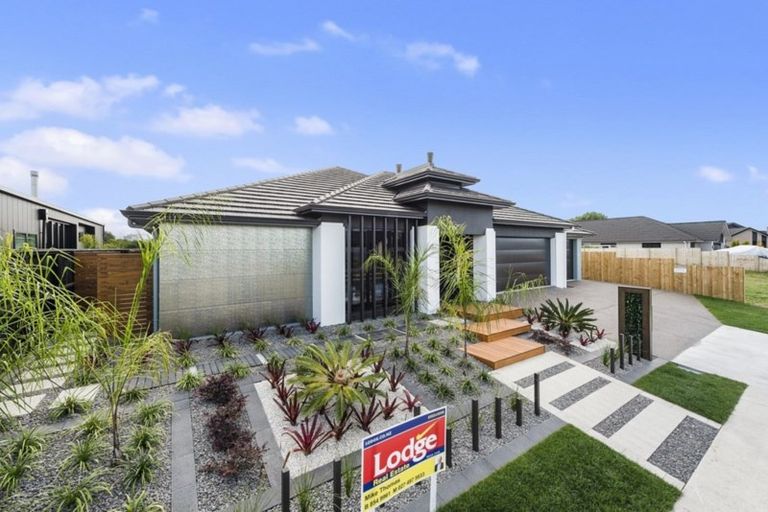 Photo of property in 56 Helen June Avenue, Flagstaff, Hamilton, 3210