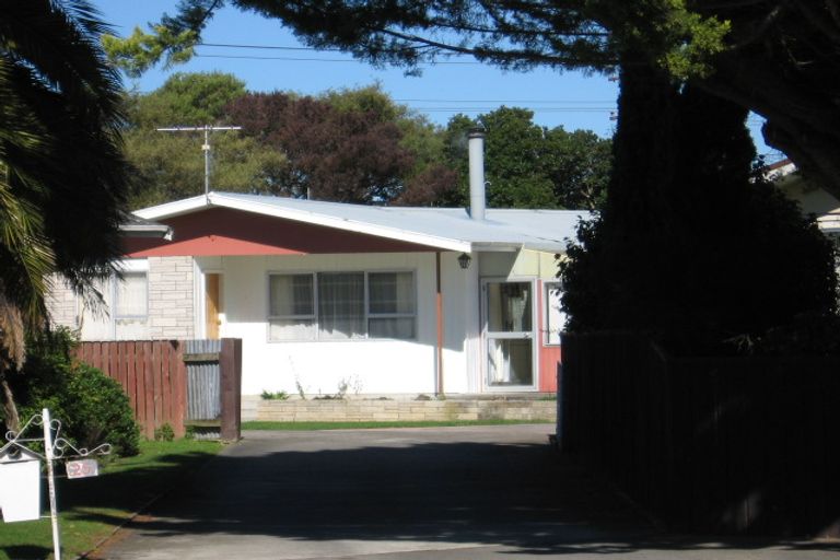 Photo of property in 25 Fraser Street, Masterton, 5810
