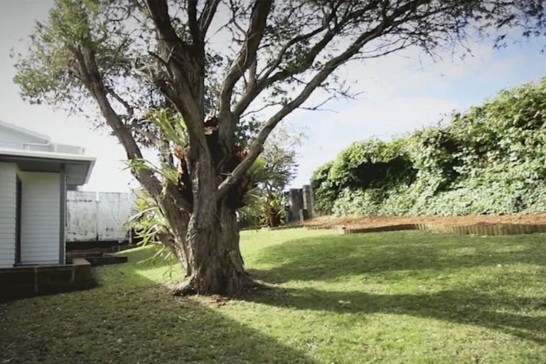 Photo of property in 24 Sunset Road, Unsworth Heights, Auckland, 0632