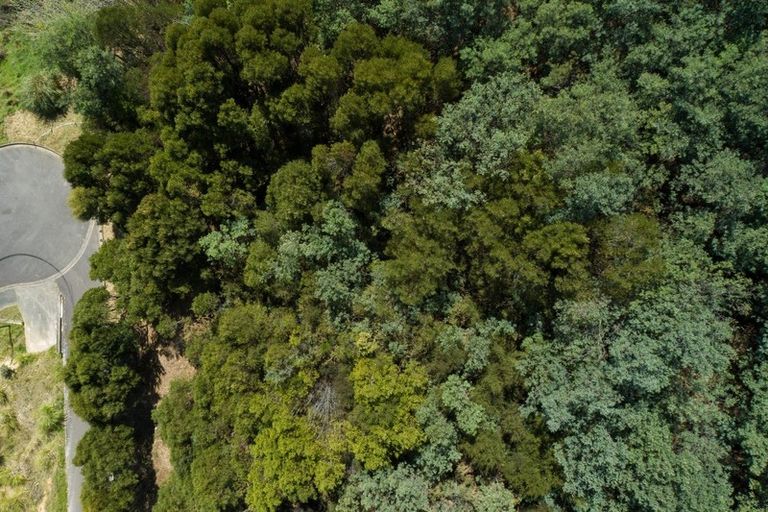 Photo of property in 16 Kakapo Rise, Picton, 7220