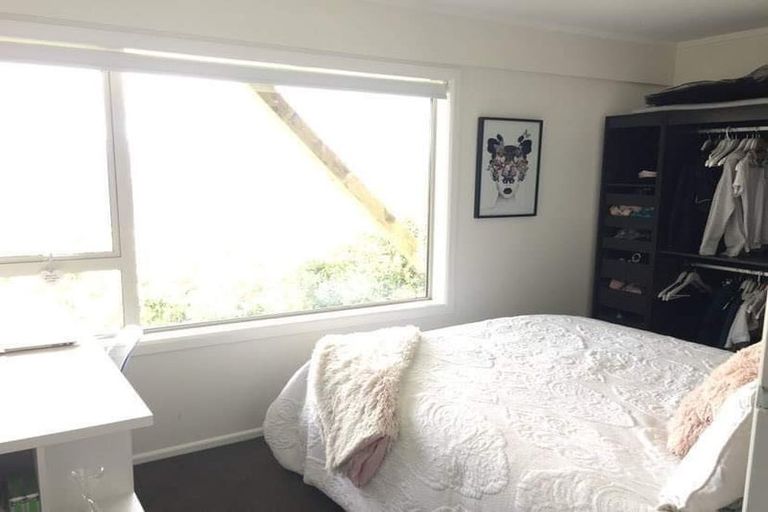 Photo of property in 56 Marewa Road, Hataitai, Wellington, 6021