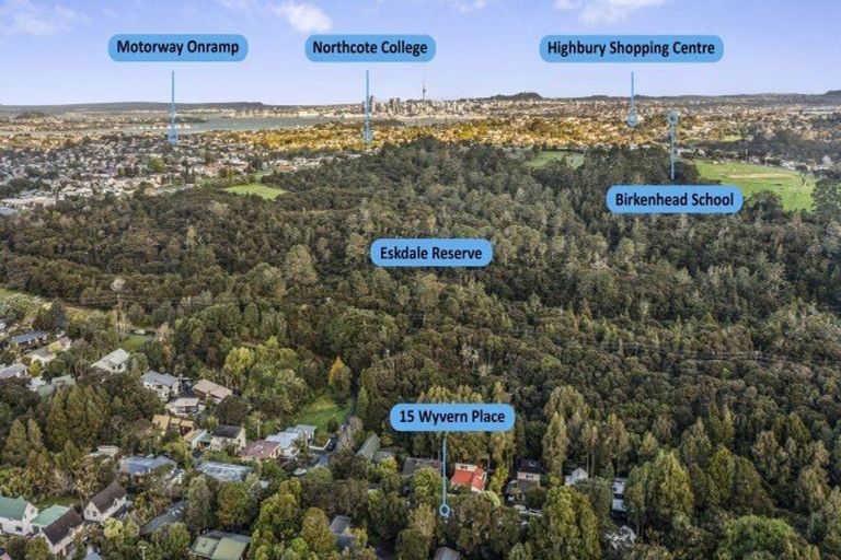 Photo of property in 15 Wyvern Place, Glenfield, Auckland, 0629