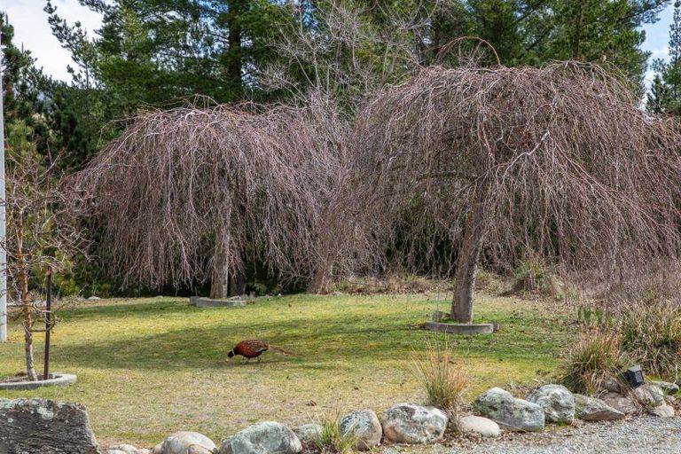 Photo of property in 110 Letts Gully Road, Letts Gully, Alexandra, 9393