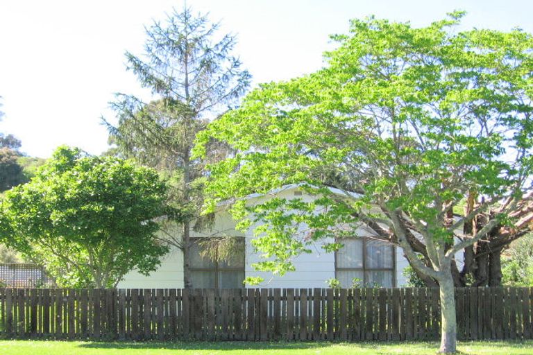 Photo of property in 19 Winter Street, Mangapapa, Gisborne, 4010