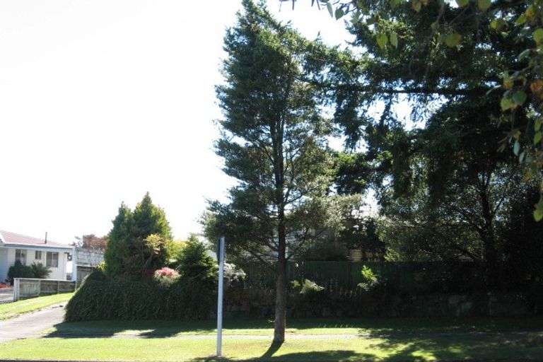 Photo of property in 124 Balmoral Drive, Tokoroa, 3420