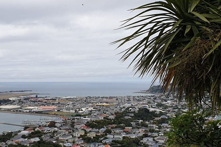Photo of property in 29 Marewa Road, Hataitai, Wellington, 6021