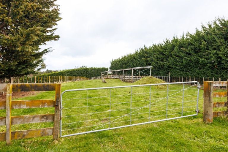 Photo of property in 91 Kimber Street, Halcombe, Feilding, 4779