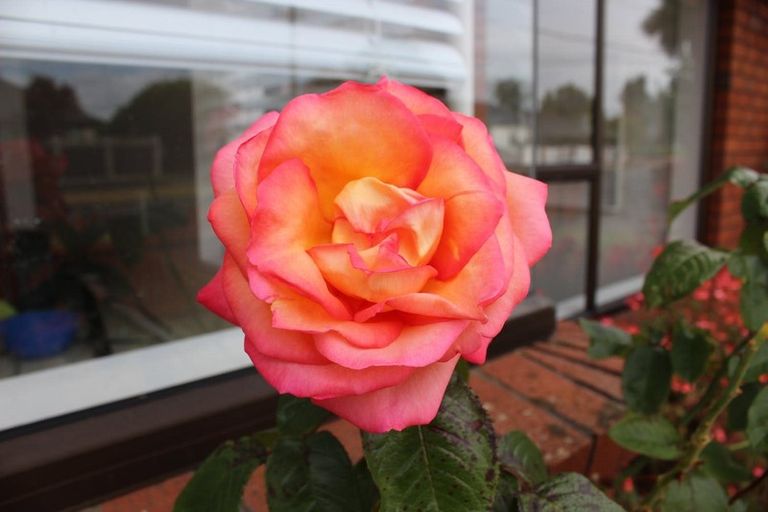 Photo of property in 3a Henry Street, Ebdentown, Upper Hutt, 5018