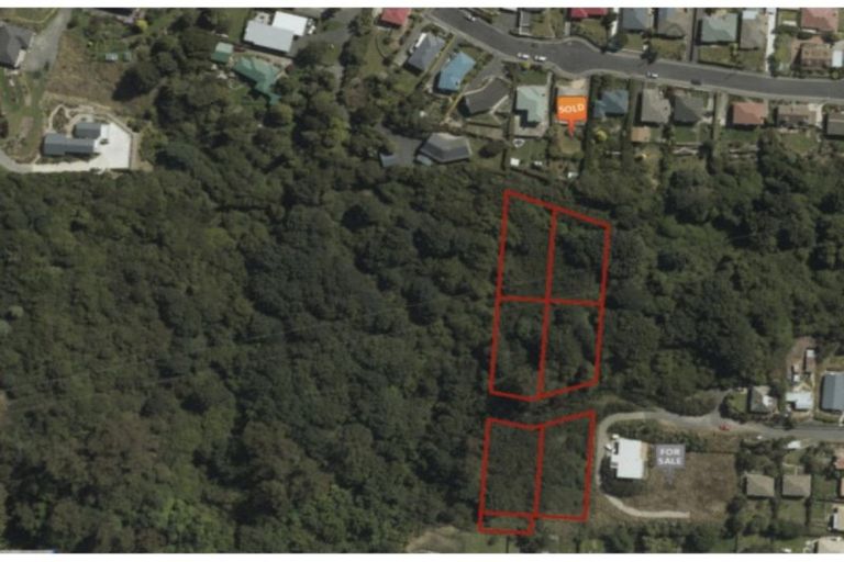 Photo of property in 20 Thomson Street, Lookout Point, Dunedin, 9011