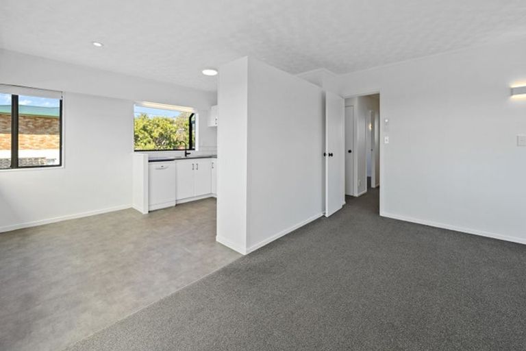 Photo of property in 15b Hairini Street, Hairini, Tauranga, 3112