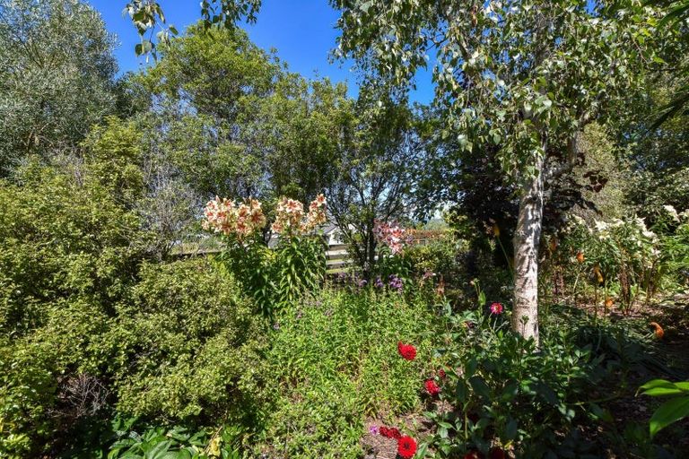 Photo of property in 60 Charles Street, Carterton, 5713