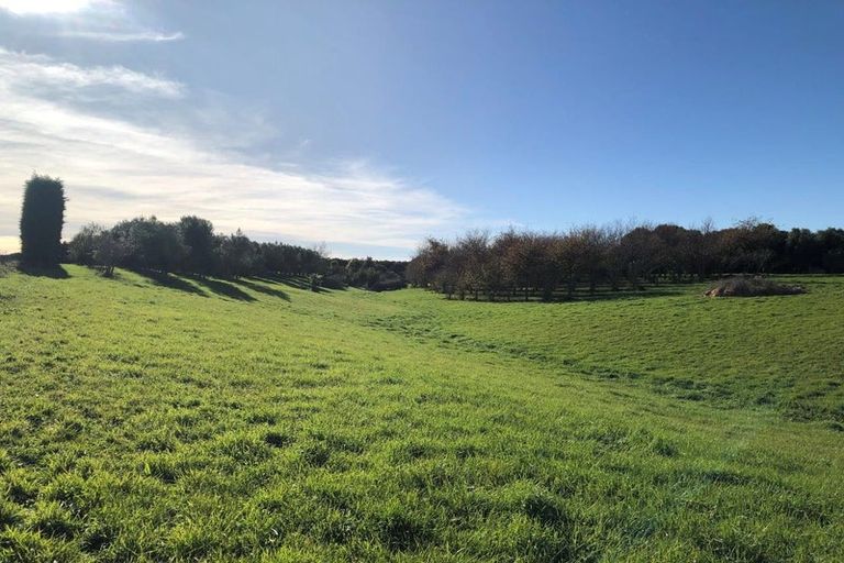 Photo of property in 466 Jeffersons Line, Marton, 4788