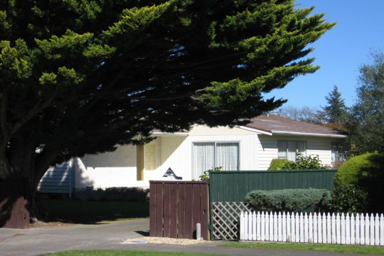 Photo of property in 1 Waterhouse Street, Masterton, 5810