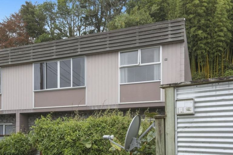 Photo of property in 11/57 Carrington Street, Lower Vogeltown, New Plymouth, 4310