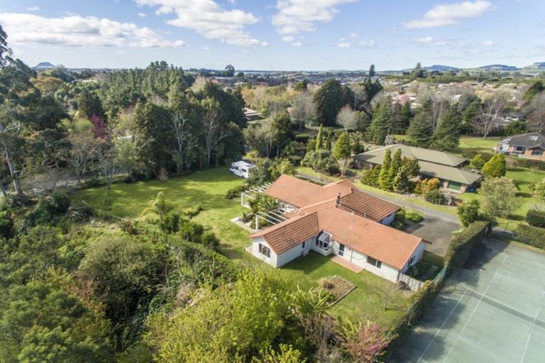 Photo of property in 19 Freeburn Road, Pyes Pa, Tauranga, 3112