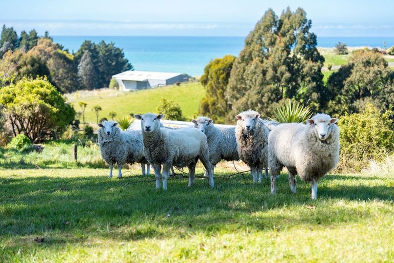 Photo of property in 57 Big Stone Road, Brighton, 9091