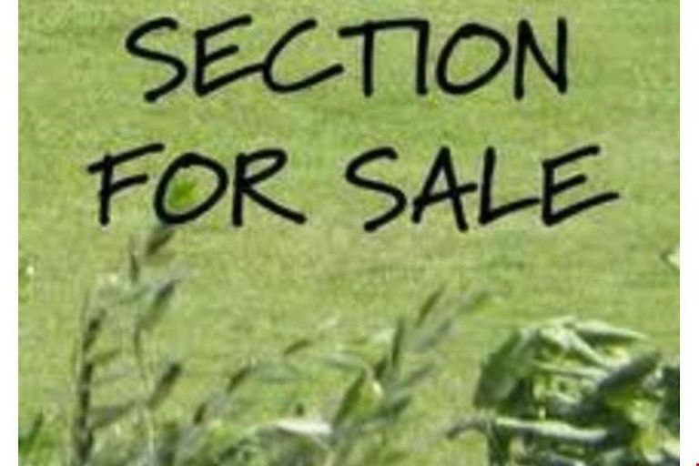 Photo of property in 9 Waitai Close, Long Bay, 0630