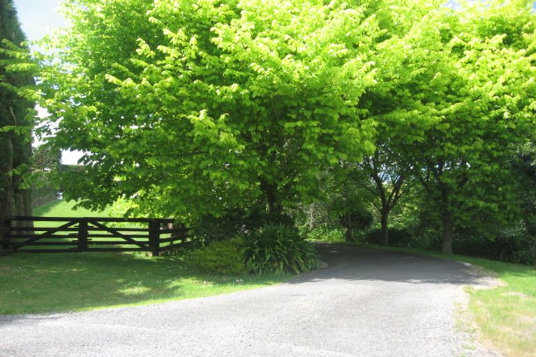 Photo of property in 227 Wairoa Road, Minden, Tauranga, 3171