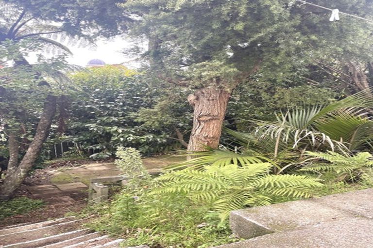 Photo of property in 313 Adelaide Road, Newtown, Wellington, 6021