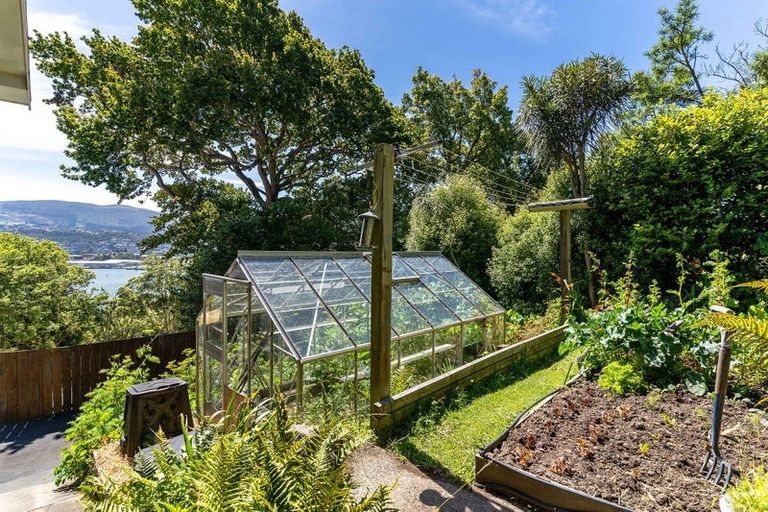 Photo of property in 99 Doon Street, Waverley, Dunedin, 9013