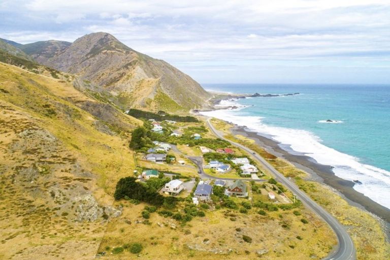 Photo of property in 3129 Mangatoetoe Grove, Cape Palliser, Pirinoa, 5772